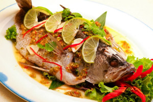 طرز تهیه ۸ غذای دریایی بی نظیر با ماهی + عکس
