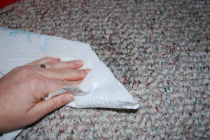 چگونه اسلایم خشک شده روی فرش، موکت، لباس و کیف را از بین ببریم؟