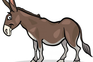 ضرب المثل خر ما از کرگی دم نداشت یعنی چه ؟