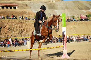 تصاویر جشنواره بازیهای بومی محلی با اسب در سنندج