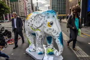 تصاویر نمایشگاه مجسمه های فیلی در برزیل