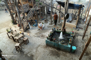 تصاویر زندگی در جنگل‌های هیرکانی در روستای کمدره آمل
