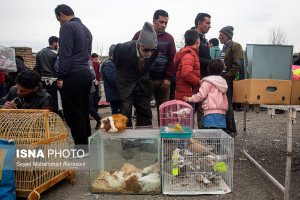 تصاویر جمعه بازار پرندگان در مشهد