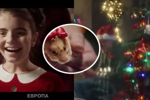 راشا تودی: با انتشار این ویدیو و یک (همستر) کریسمس ضد روسی را به اروپا تبریک گفت !