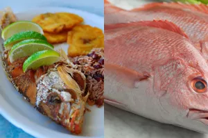 روش های مختلف پخت ماهی سرخو