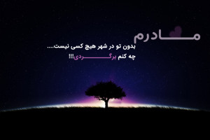 ۷۸ شعر برای مادر فوت شده مادرم برگرد خیلی تنهام