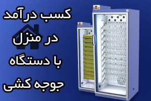 کسب درآمد در منزل با دستگاه جوجه کشی