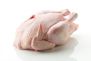 فواید مرغ ارگانیک برای بدن و تفاوت آن با مرغ معمولی