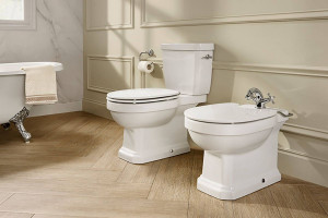 ساده ترین روش جهت شستشوی داخل فلاش تانک توالت