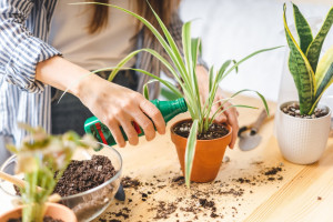 کود کلسیم مایع برای چه گیاهانی مناسب است؟