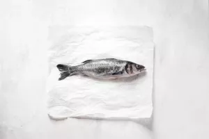 حکم خوردن ماهی فلس‌دار | آیا خوردن ماهی فلس دار حلال است؟
