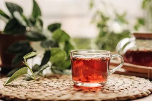 فواید چای ساسافراس و خواص درمانی آن