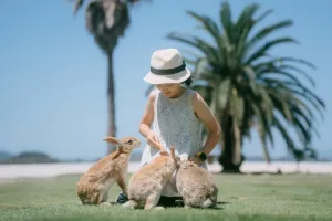 همه چیز در مورد جزیره خرگوش ها یا اوکونوشیما در ژاپن