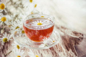 طرح توجیهی تولید چای کیسه ای با منشأ گیاهان دارویی