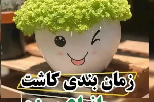 بهترین زمان هر بذر برای کاشت سبزه عید 1402 ؟!