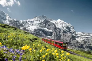 بازدید از جاذبه‌های دیدنی سوئیس در تور اروپا تابستان ۱۴۰۳