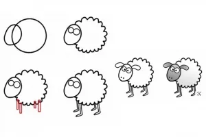 نقاشی گوسفند : آموزش مرحله به مرحله کشیدن گوسفند پشمالو