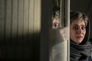 معرفی کامل فیلم امیر و بازیگران این فیلم سینمایی