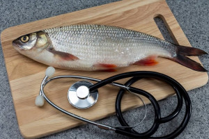 علائم آلرژی و حساسیت به ماهی