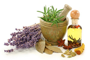 گیاه ضد ویروس : معرفی ۱۳ آنتی ویروس قوی گیاهی