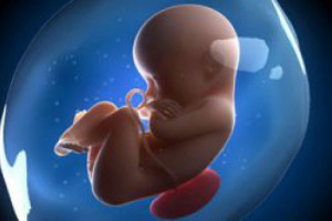 تکان خوردن جنین در ماه ها و هفته های بارداری چگونه است ؟