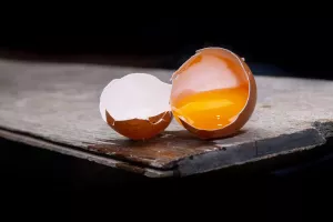 آیا لکه های خون در تخم مرغ نجس است؟