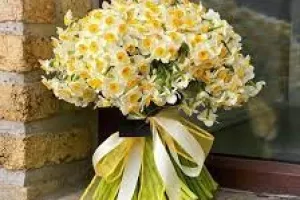 گنجینه ای از اشعار ناب درباره گل نرگس