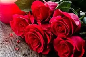 شعر فوق العاده زیبای گل سرخ من