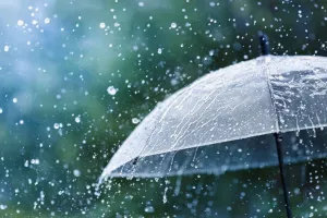 دانلود آهنگ گفتی جانا دیوانگی کن خطر ندارد ریمیکس