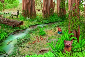 داستان کوتاهترین درخت جنگل برای کودکان + نتیجه اخلاقی قصه