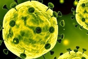 گلچینی از برترین و با حال ترین اشعار طنز کرونا