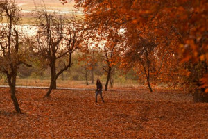 شعر برای دختر آذر ماهی زیباترین اشعار درباره دختران متولد آذر