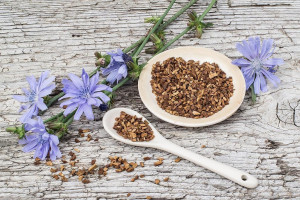 فواید و عوارض استفاده از ریشه کاسنی در طب سنتی