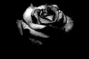 دانلود عکس سیاه خاص و متفاوت عزاداری برای پروفایل