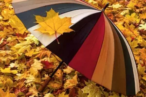 30 گیف پاییز زیبا و حیرت انگیز برای واتساپ و تلگرام