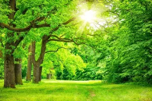 20 گیف تابستان جذاب و دیدنی