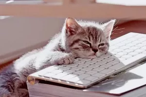 دانلود گلچین گیف بی حوصله و سردرگم