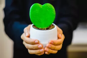 دانلود گیف قلب سبز برای عاشقا !