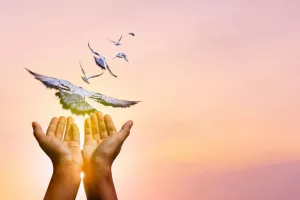 برای رفع خطر از سرباز حتما این دعا را بخوانید !