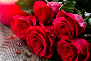 معرفی گل های مناسب برای هدیه تولد