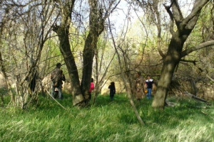 معرفی 10 مکان طبیعی برای سیزده بدر در کرمان