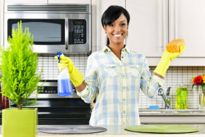 روش های ساده برای تمیز کردن وسایل برقی خانه