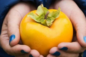 آیا خرمالو برای کودکان مفید است ؟