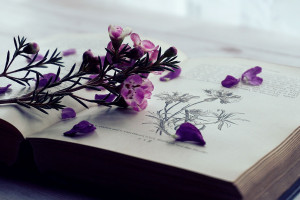 30 عکس کتاب فانتزی و لاکچری برای پروفایل
