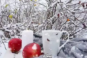 30 متن و پیام دلنشین و احساسی صبح بخیر زمستانی