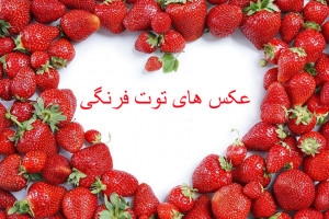 60 عکس فانتزی و خاص توت فرنگی