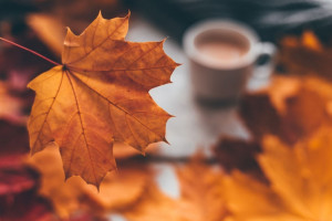 77 عکس زیبا و رویایی پاییز برای بک گراند و پروفایل