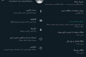 آموزش تنظیمات کاهش مصرف اینترنت واتساپ با جلوگیری از دانلود خودکار