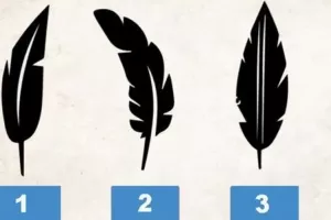 یک پر رو انتخاب کن و پاسخ تست رو بخون!! / تست شخصیت