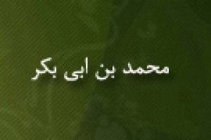 شهادت محمد بن ابی بکر از یاران امام علی ع در مصر توسط معاویه 38 ق